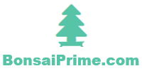 logo bonsaiprime.com