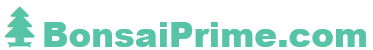 logo bonsaiprime.com